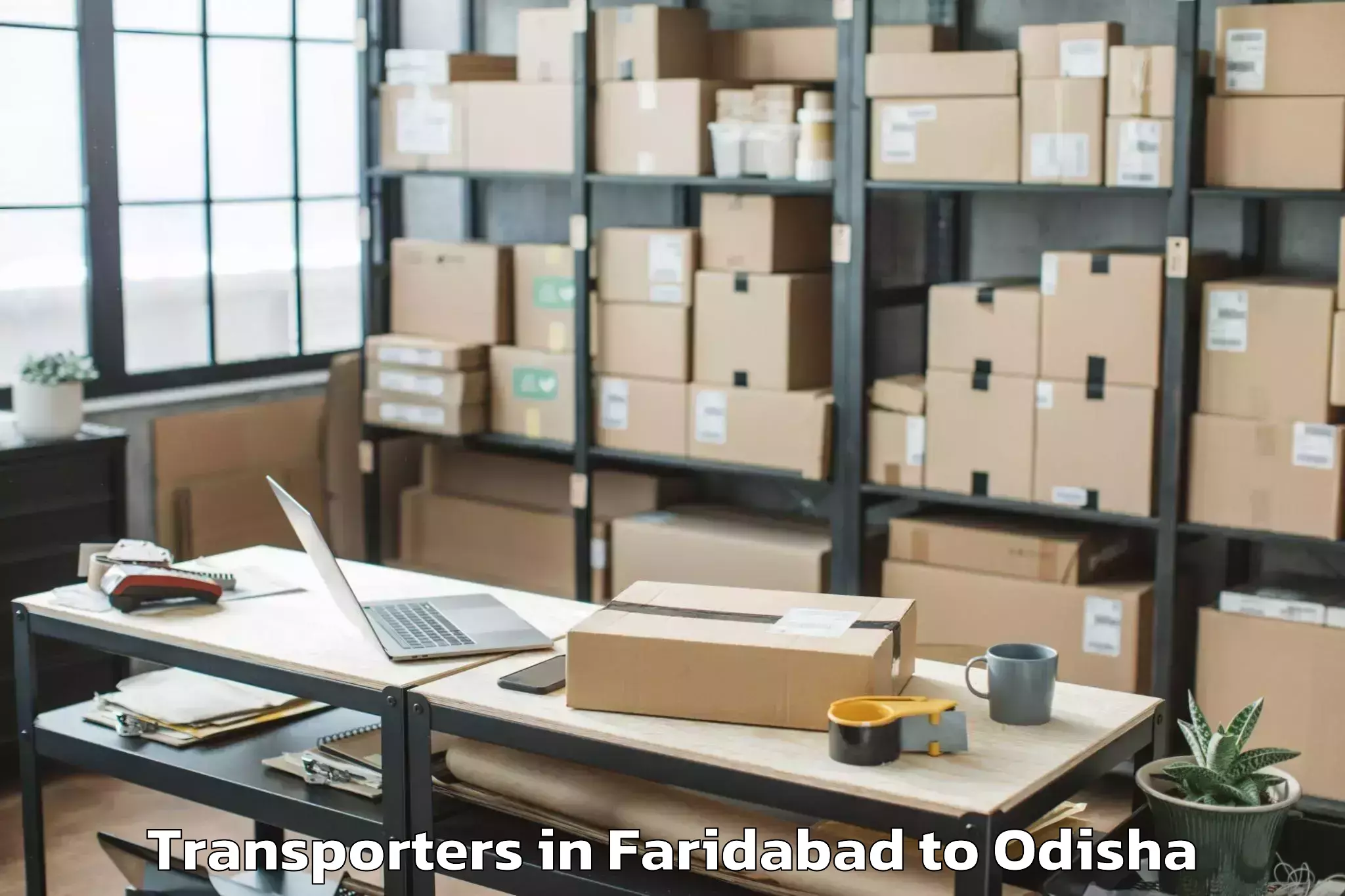 Book Faridabad to Khordha Transporters Online